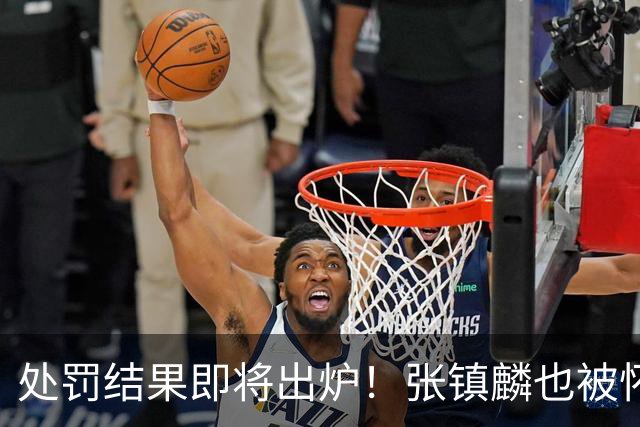 处罚结果即将出炉！张镇麟也被怀疑，球迷呼吁应取消上海冠军